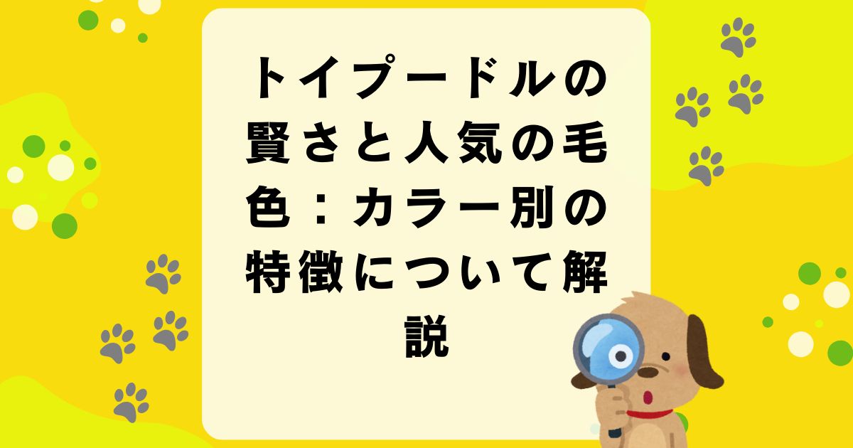 トイプードルの賢さと人気の毛色：カラー別の特徴について解説