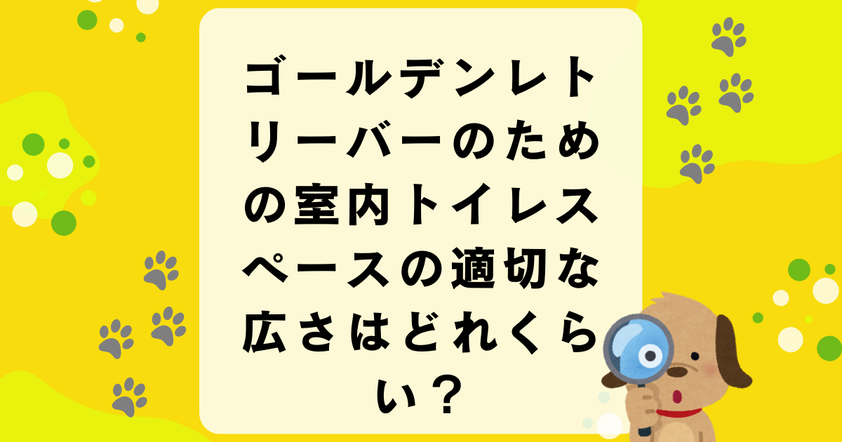 ゴールデンレトリーバーのための室内トイレスペースの適切な広さはどれくらい？