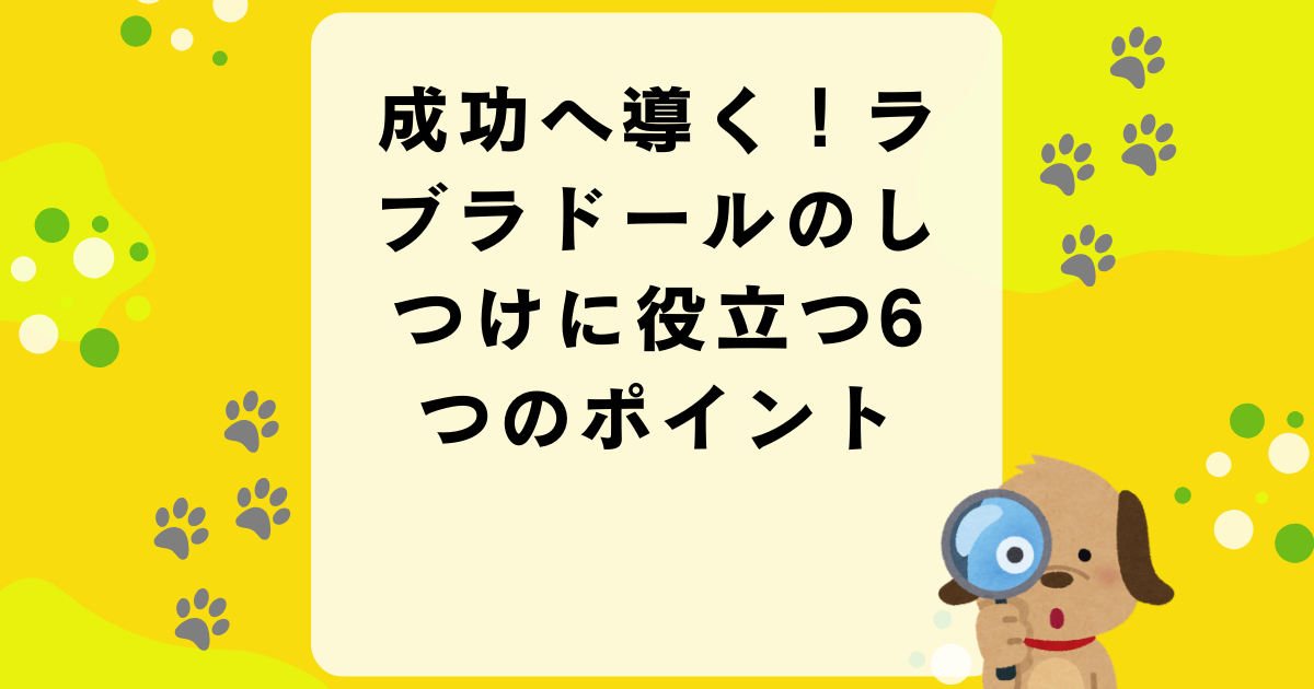 成功へ導く！ラブラドールのしつけに役立つ6つのポイント